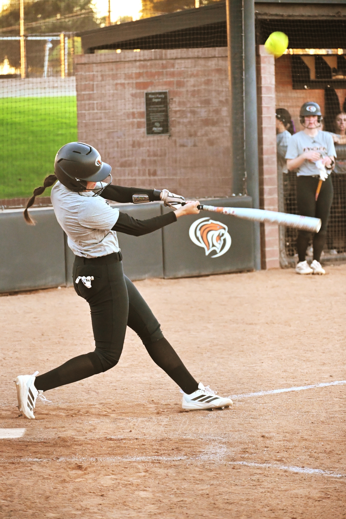 Softball: Sacramento City v Pacific 10/29/2025