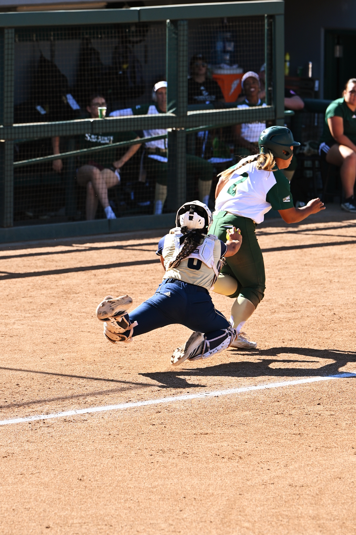 Softball: UC Davis v Sacramento State 3/24/2026